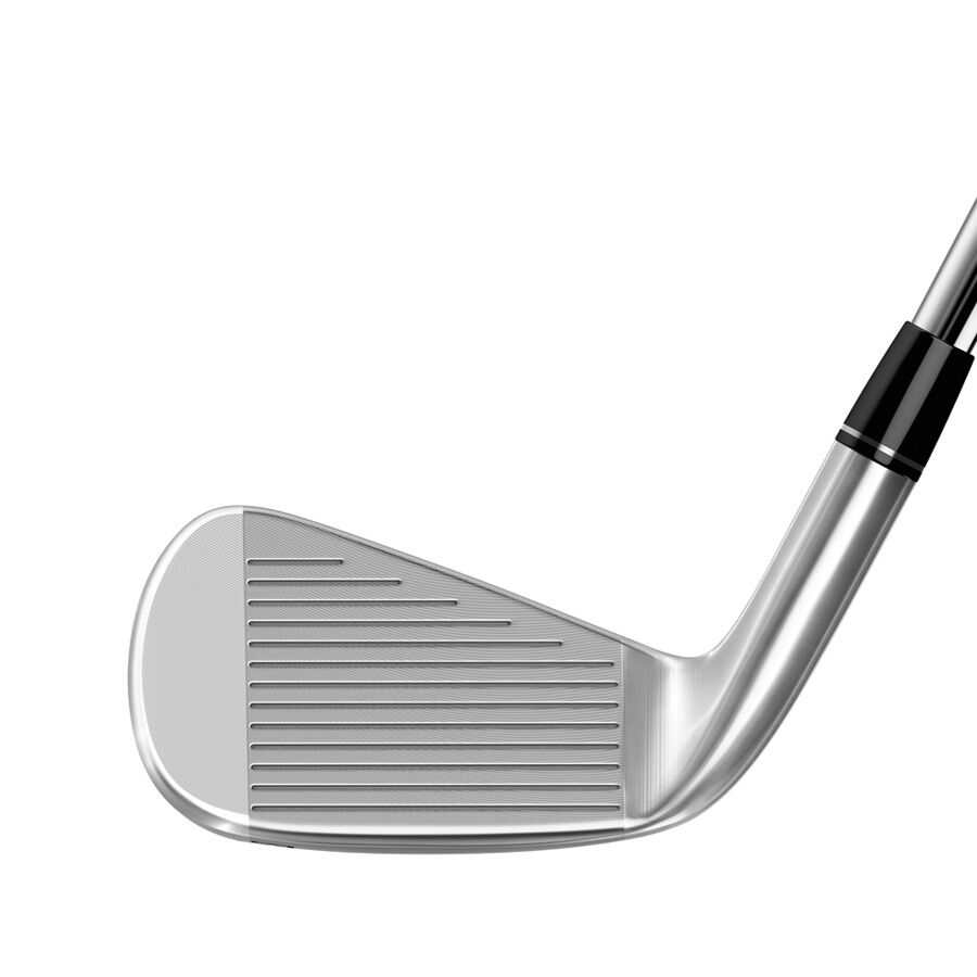 【ポイント10倍】 P770 Irons クラブ