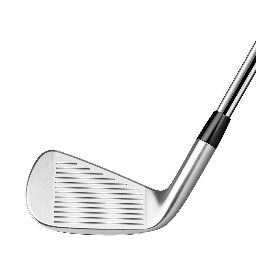 TaylorMade テーラーメイド P790 5-9.P 6本 アイアンセット N.S.