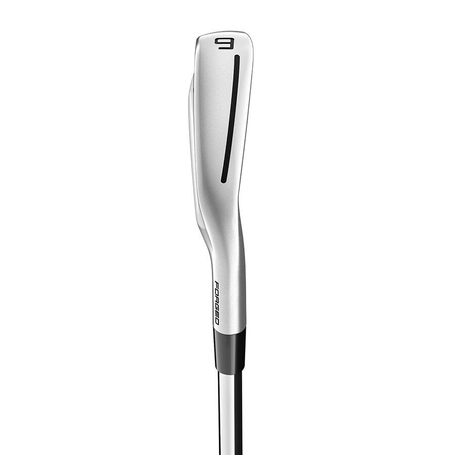 TaylorMade P790 DG120 2021年モデル 2021 P790 Irons