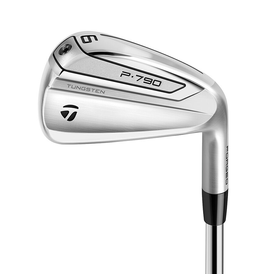 テーラーメイド　P790 2019 5〜PW P790 Irons