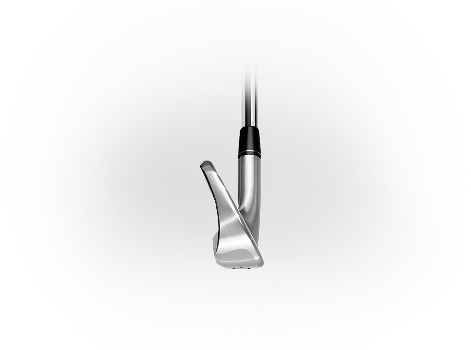P770 Irons Toe