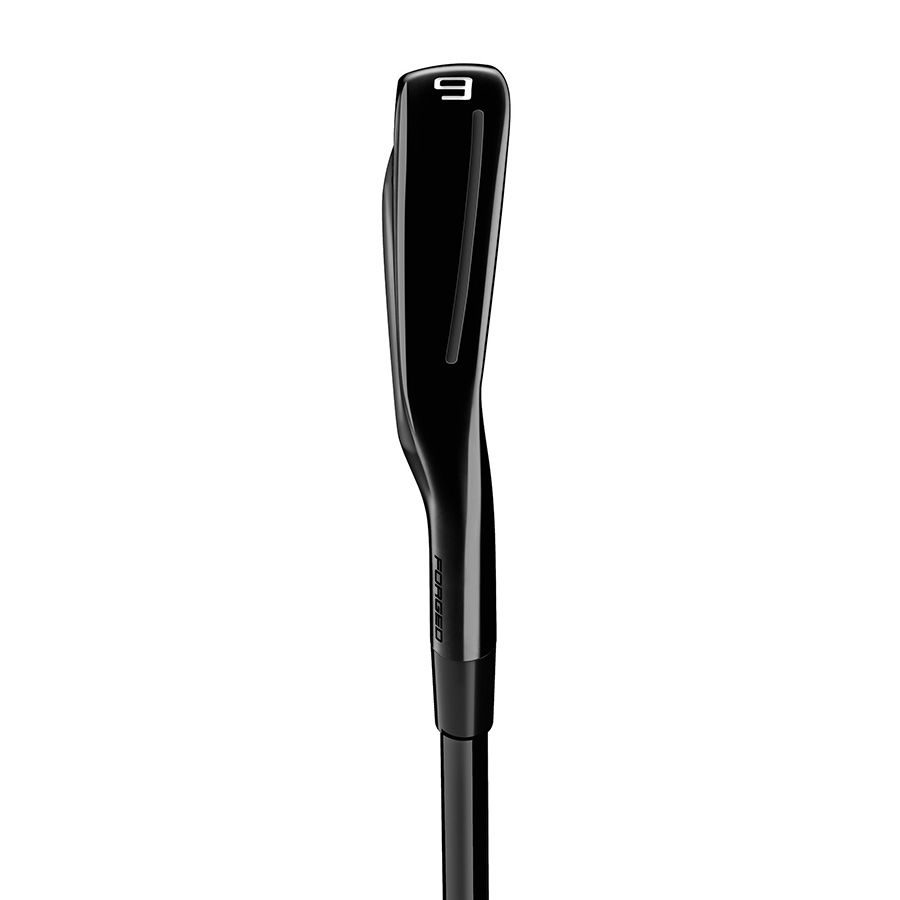 P790 Black Irons