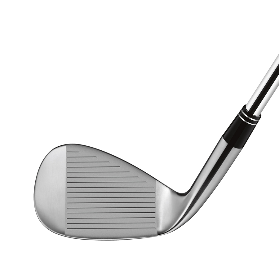 TaylorMade - エッグ！ TaylorMade 2021 P790 5-9, Pitching Wedge, Attack Wedge