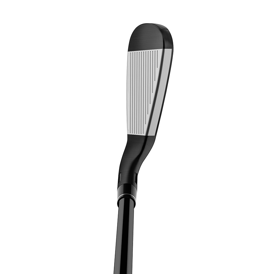 TORAMOCOBESU　stealth SW Stealth Black Irons